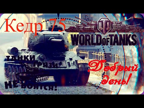Видео: мир танков