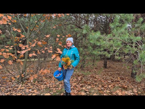 Видео: Я ДУМАЛА ВІН ЗАКРИВСЯ, А НІТ 🍄‍🟫😅 