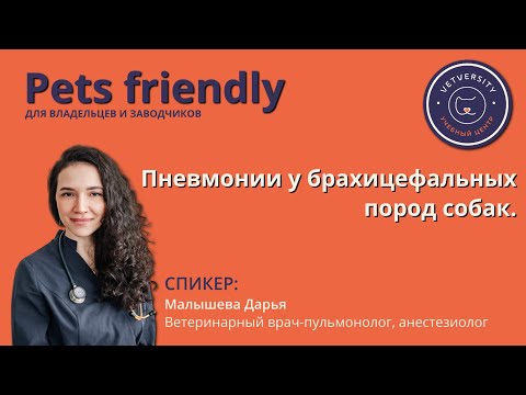 Видео: Пневмонии у брахицефальных пород собак.