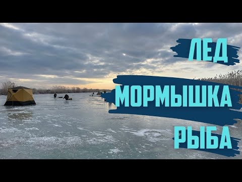 Видео: ЗИМНЯЯ РЫБАЛКА ПО ТВЕРДОЙ ВОДЕ. ЛЕД МОРМЫШКА И РЫБА. ОКУНЬ И ТАРАНЬ НЕ ДАВАЛИ ГРУСТИТЬ