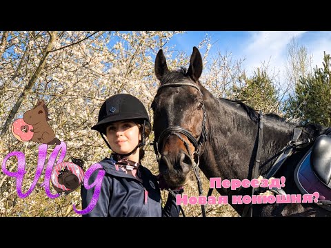 Видео: Vlog! Новая конюшня? Осталась одна лошадь?