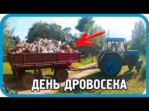 Видео: ДЕНЬ ДРОВОСЕКА! ВСЁ "ДОБРО" ПИЛИМ НА ДРОВА!