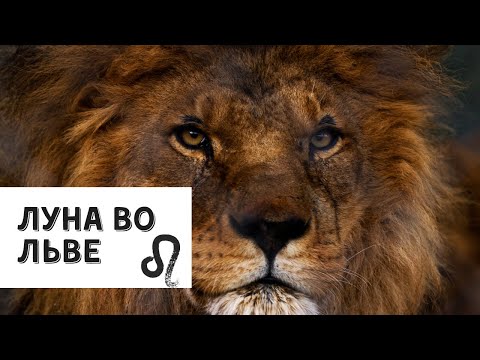Видео: ЛУНА ВО ЛЬВЕ. ЛУНА В ГОРОСКОПЕ. ЛУНА В ЗНАКАХ ЗОДИАКА.
