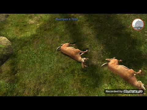 Видео: Прохождение DEER HUNTER CLASSIC #1