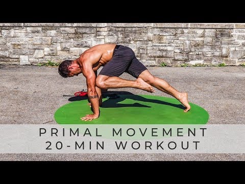 Видео: PRIMAL MOVEMENT FITNESS: тренировка с собственным весом и мышцами корпуса (продолжение)
