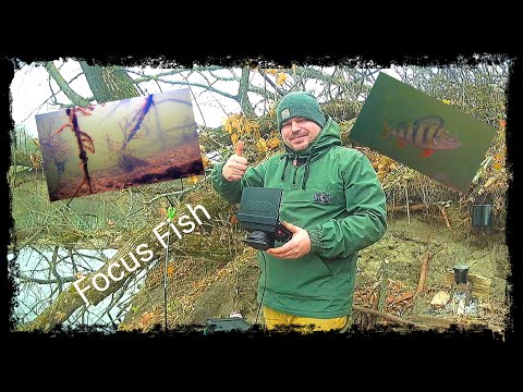 Видео: Обзор и тестирование подводной камеры Focus Fish 2024-2025.Река Сейм.Город Курск.4К.11 ноября 2024