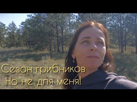 Видео: В ЛЕСУ МНОГО ГРИБОВ! НО СОБИРАТЬ НЕ БУДУ...СКОЛЬКО СТОИТ БАЛЛОН ГАЗА? СПАСИБО ЗА ПОЗДРАВЛЕНИЯ!