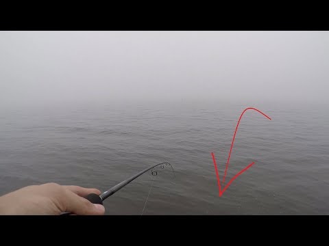 Видео: СУДАК РАЗРЫВАЕТ СИЛИКОН! Ловля на джиг 2019.