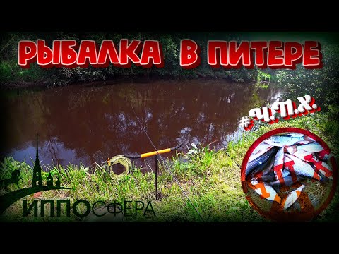 Видео: Рыбалка на реке Охта в СПБ на фидер. Конная выставка Ипосфера. Ч.П.Х.