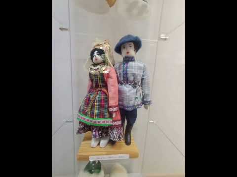 Видео: Смотрю картины в библиотеке А. С Пушкина