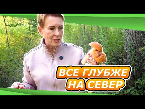Видео: КУДА И ЗАЧЕМ МЫ ТАК ДОЛГО ЕХАЛИ | БУКЕТ ИЗ ГРИБОВ | ДОМ ЗМЕЯ |  ОТПУСК ЛЕТО 2025 #5