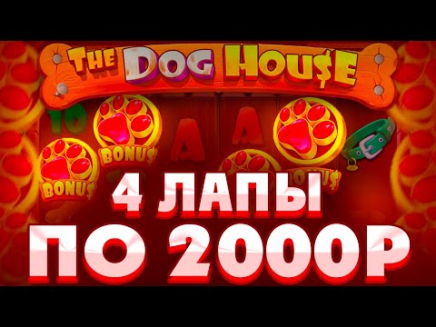 Видео: ЗАКРЫЛ ОГРОМНУЮ ПОЛЯНУ СИНИХ СОБАК И ПОЙМАЛ НЕРЕАЛЬНЫЙ ЗАНОС В THE DOG HOUSE MEGAWAYS