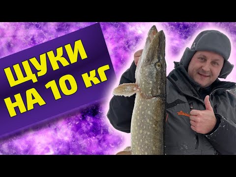 Видео: Крупные щуки на 10 кг! Жерлицы на Вуоксе. Рыбалка в Ленинградской области