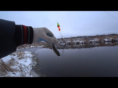 Видео: Поклевки Просто ШЕДЕВР! Ловля ЩУКИ на Живца! Рыбалка на Щуку!
