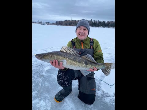 Видео: Рузское водохранилище. Судак на 5 кг 480 гр.