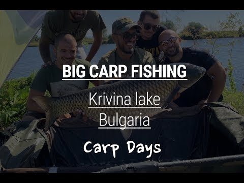 Видео: Carpdays - Krivina Lake , Bulgaria / Риболов на шаран на езеро Кривина