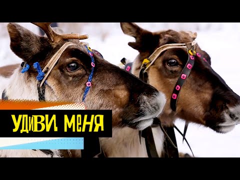 Видео: Ямал. Удиви меня