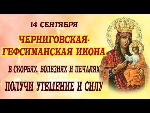 Видео: 14 сентября: Молитва о здоровье и исцелении! Чудотворная Черниговская-Гефсиманская икона Богородицы