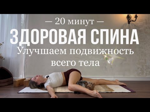 Видео: ЗДОРОВАЯ СПИНА | ЙОГА ДЛЯ ВСЕГО ТЕЛА