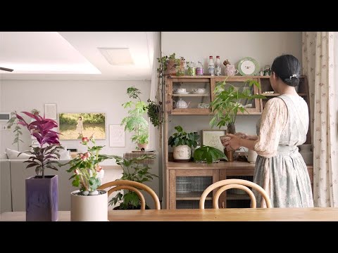 Видео: Тур по комнатным растениям 🌱 20 комнатных растений для зеленого дома