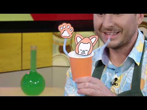 Видео: Игрушка «Кот в стакане» - Мастерская - С добрым утром , малыши!