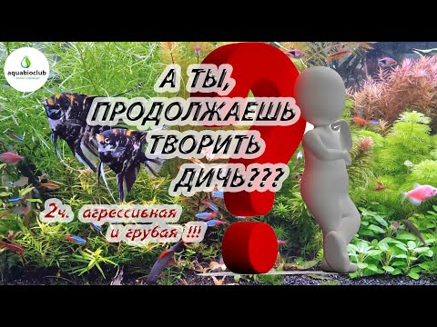 Видео: Самые частые и дичайшие ошибки аквариумистов.  Мотивация к недопущению.