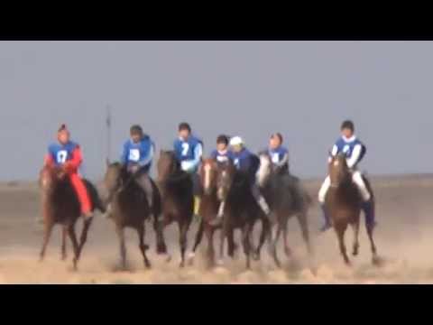 Видео: Аламан байге.Макат ауданы 2014