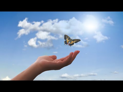 Видео: Я ЖЕЛАЮ СЧАСТЬЯ ВАМ, Валерий Капризов