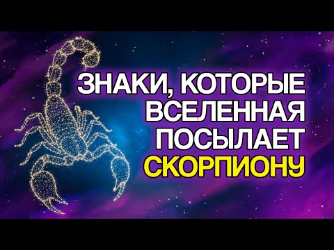 Видео: 12 ЗНАКОВ, Что Вселенная Испытывает Скорпиона