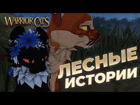 Видео: НОВЫЕ ИСТОРИИ!!! WARRIOR CATS 🙀 2025: 🤯 Все СЕКРЕТЫ, НОВИНКИ и ЛАЙФХАКИ ⚔️