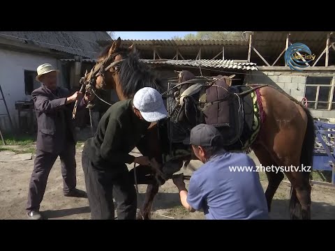 Видео: ҰЛТ ҚҰНДЫЛЫҒЫ - ТАҒА / АТ ТАҒАЛАУ