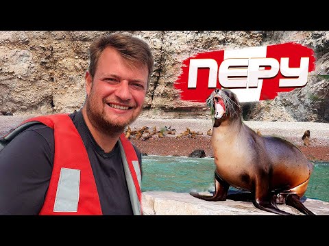 Видео: УВИДЕЛИ МОРСКИХ ЛЬВОВ на островах Бальестас. Самая крутая экскурсия в ПЕРУ, ПАРАКАС. МЫ В ВОСТОРГЕ!