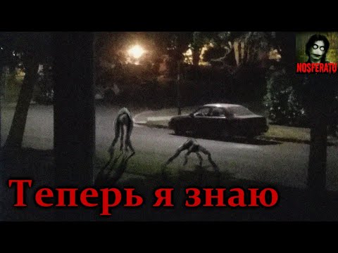 Видео: Я знаю, почему визжат собаки. Страшные истории на ночь. Страшилки на ночь