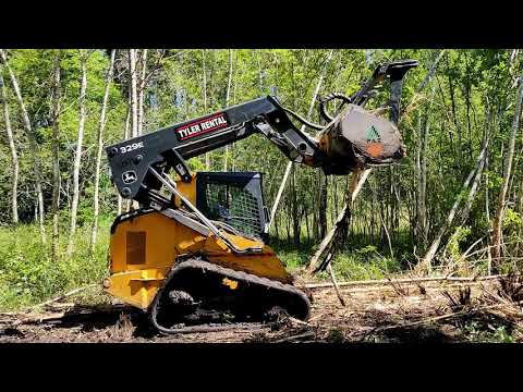 Видео: Земельный участок расчистка от леса часть 1
