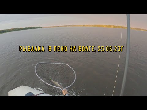 Видео: рыбалка в Пено на Волге, 25 06 23г