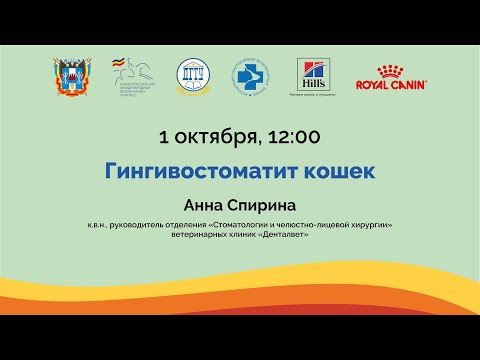 Видео: Анна Спирина. Гингвостоматит кошек