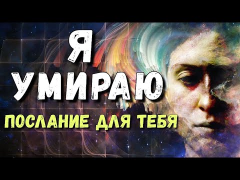 Видео: Жизнь после (осознания) смерти ✨