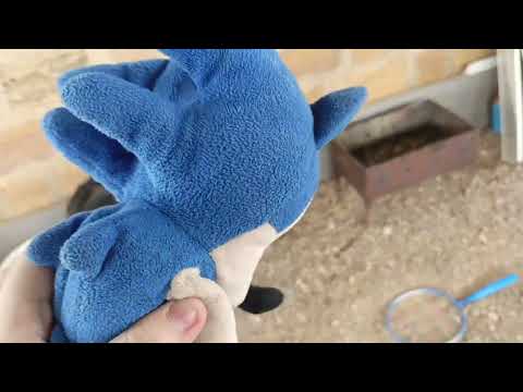 Видео: Crazy tails финал хорошая концовка