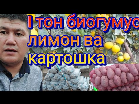 Видео: биогумус А.чоми 1тон овардем