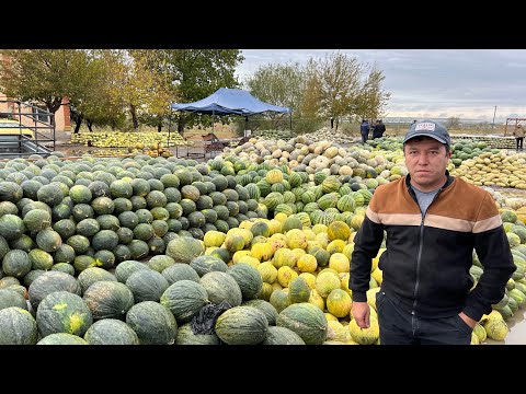 Видео: Знаменитые Узбекские Цыплята Тапака! Янгиюль!Узбекистан!