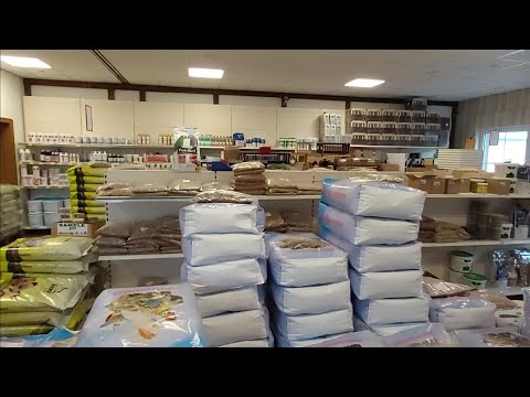 Видео: Корма по хорошим ценам для голубей и декоративных птиц.Германия.