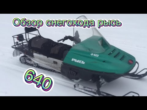 Видео: Обзор Снегохода Рысь ус-440 С Двигателем От Бурана, Отзыв От Владельца!