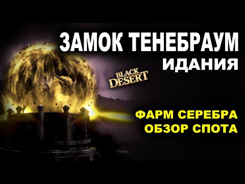 Видео: 💰 ФАРМ СЕРЕБРА в ЗАМКЕ ТЕНЕБРАУМ. 2,2ккк итемами с Агрис в Идании БДО (BDO - Black Desert)