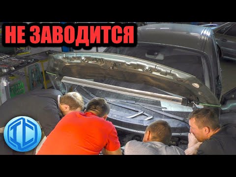 Видео: Renault Scenic не заводится