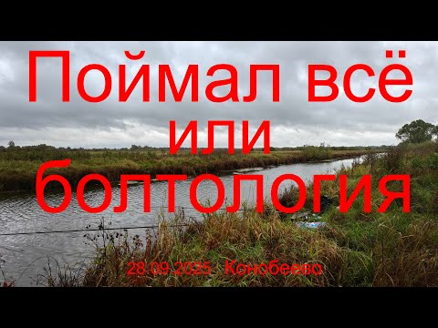 Видео: Поймал всё или болтология. 28.09.2025. Конобеево. Москворецкий пойменный заказник.