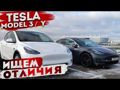 Видео: В чем отличие Tesla Model 3 от Tesla Model Y | Большой тест