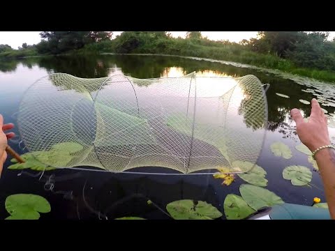Видео: РЫБАЛКА на ВЕРШУ Мордушку Кубарь Морду ЯТЕРЬ.