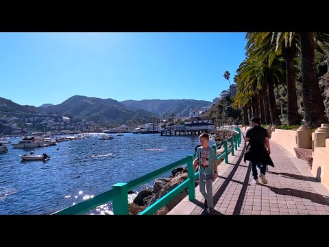 Видео: Второй день круиза. Остров Каталина. Часть 1