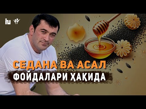 Видео: Қора дона (Седана) ва Асал аралашмаси | Бир қошиқда соғлик ва куч-қувват