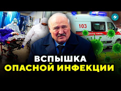 Видео: Уже много заболевших! Новую инфекцию привезли в Беларуси из РФ. Врачи бьют тревогу // Новости